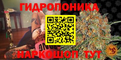 прущая мука Апшеронск
