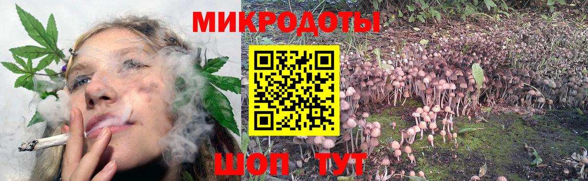 Галлюциногенные грибы мухоморы  Галлюциногенные грибы Psilocybine cubensis  Брянск  Вход с VPN 