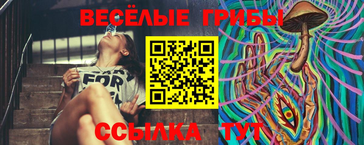 Псилоцибиновые грибы мицелий Брянск